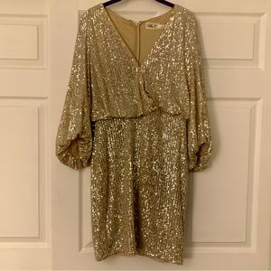 Beautiful Champagne Sequin Dress 🥂